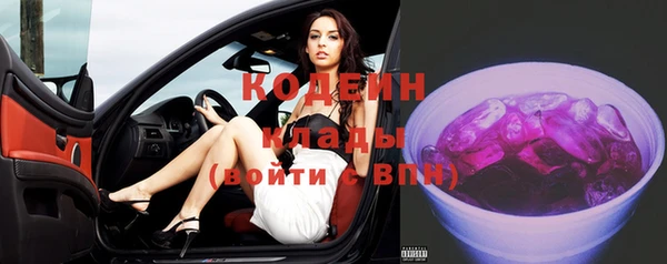 молекула духа Бронницы