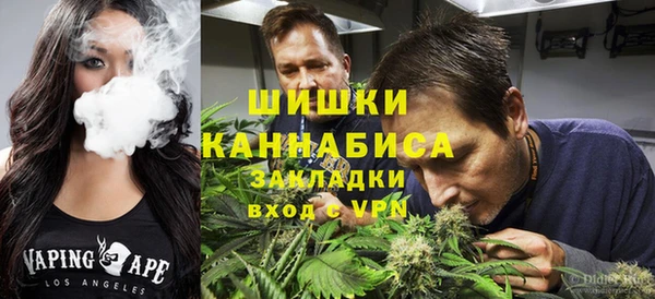молекула духа Бронницы