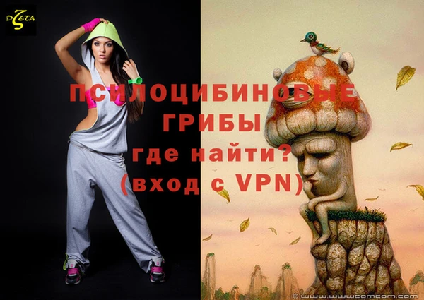 наркотики Бородино