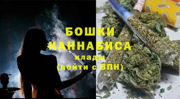 наркотики Бородино