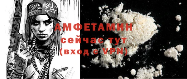 молекула духа Бронницы